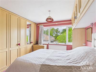 Picture 12